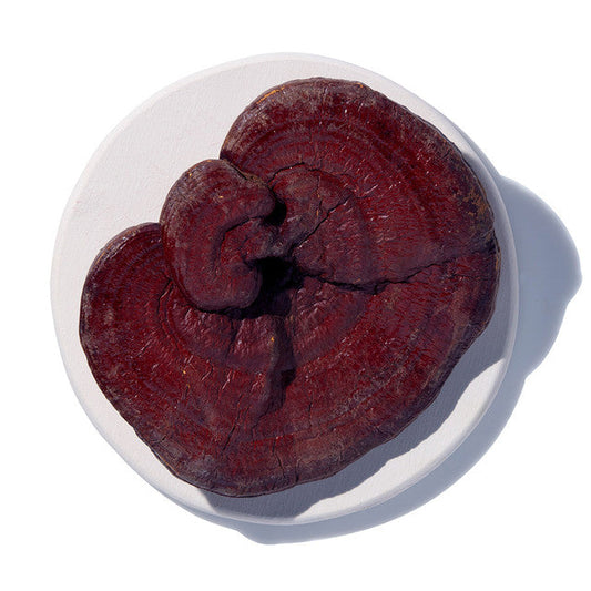 Adaptogens 101: Meet Ashwagandha, Schisandra & Functional Mushrooms